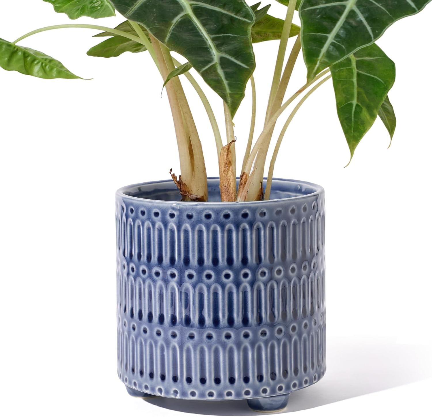 5 Inch Ceramic Planters for In - Snake Plant Ceramic บทวิจารณ์และราคา