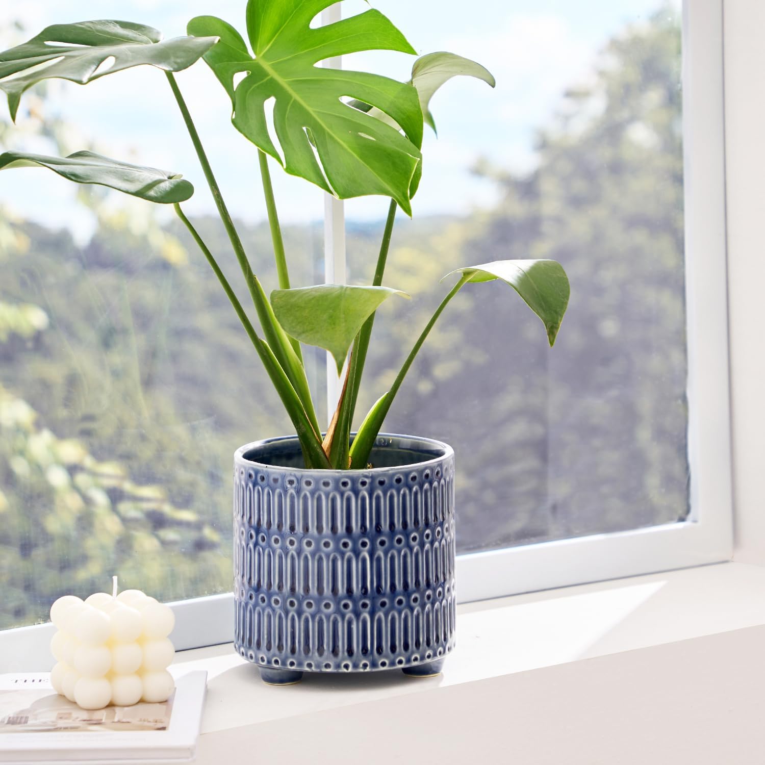 5 Inch Ceramic Planters for In - Snake Plant Ceramic บทวิจารณ์และราคา