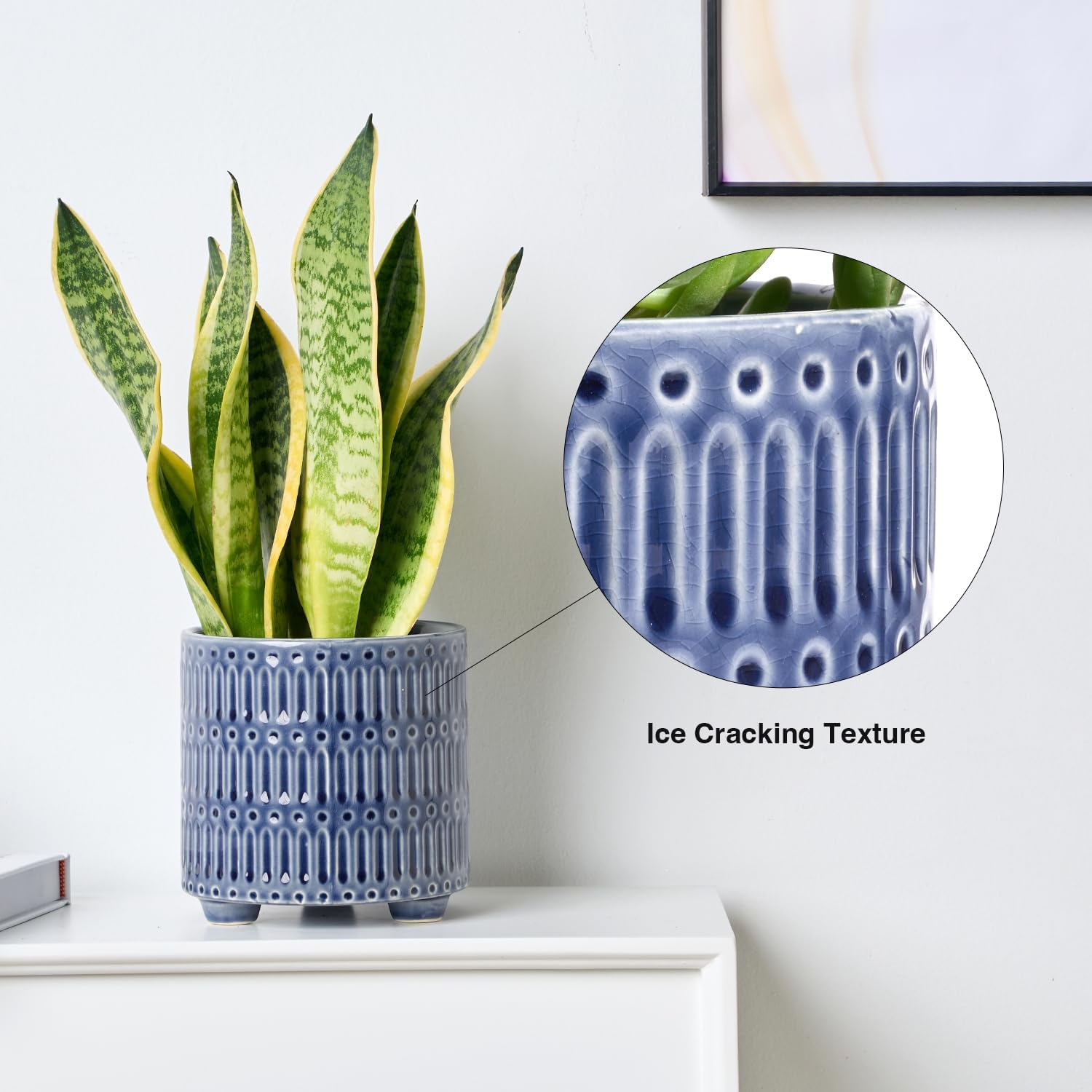 5 Inch Ceramic Planters for In - Snake Plant Ceramic บทวิจารณ์และราคา