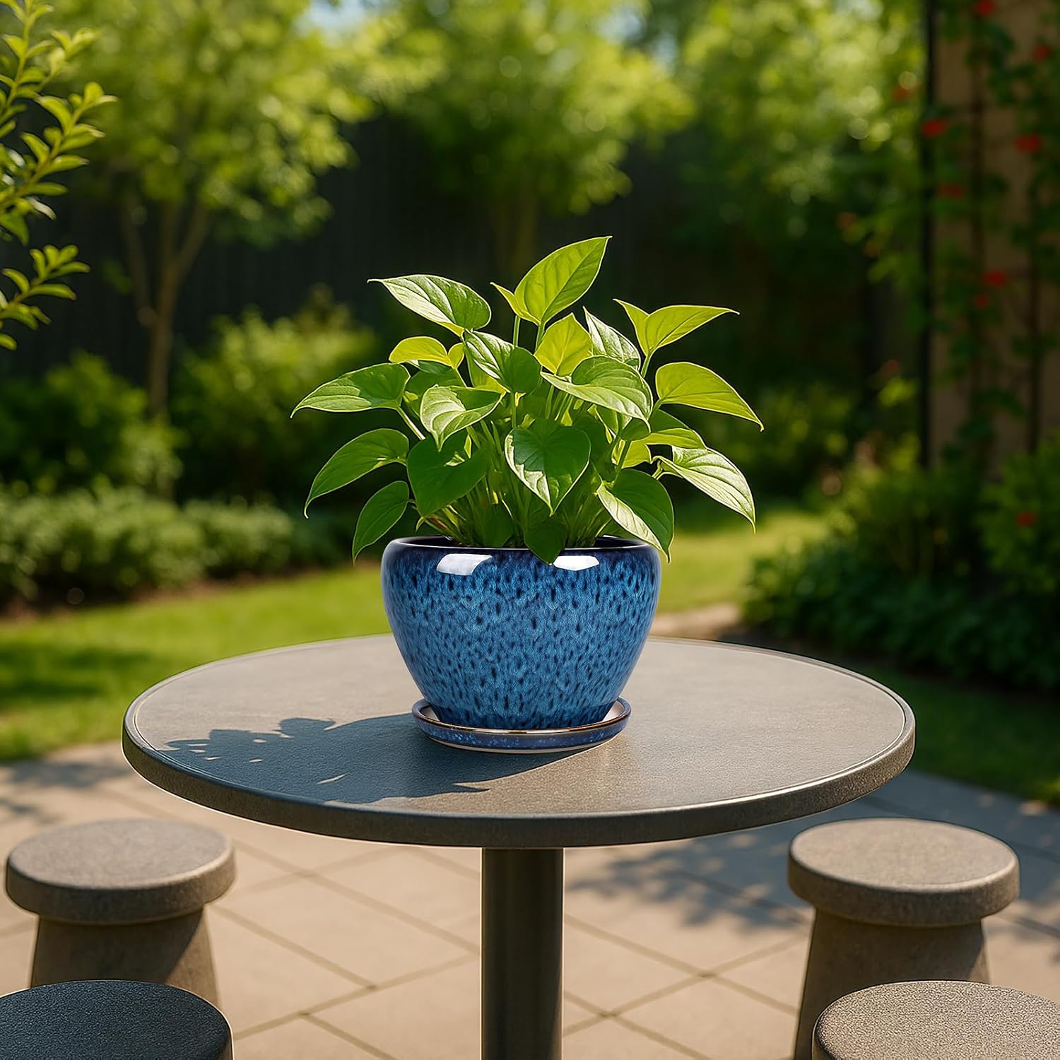 6 Inch Ceramic Plant Pots with - Snake Plant Ceramic บทวิจารณ์และราคา