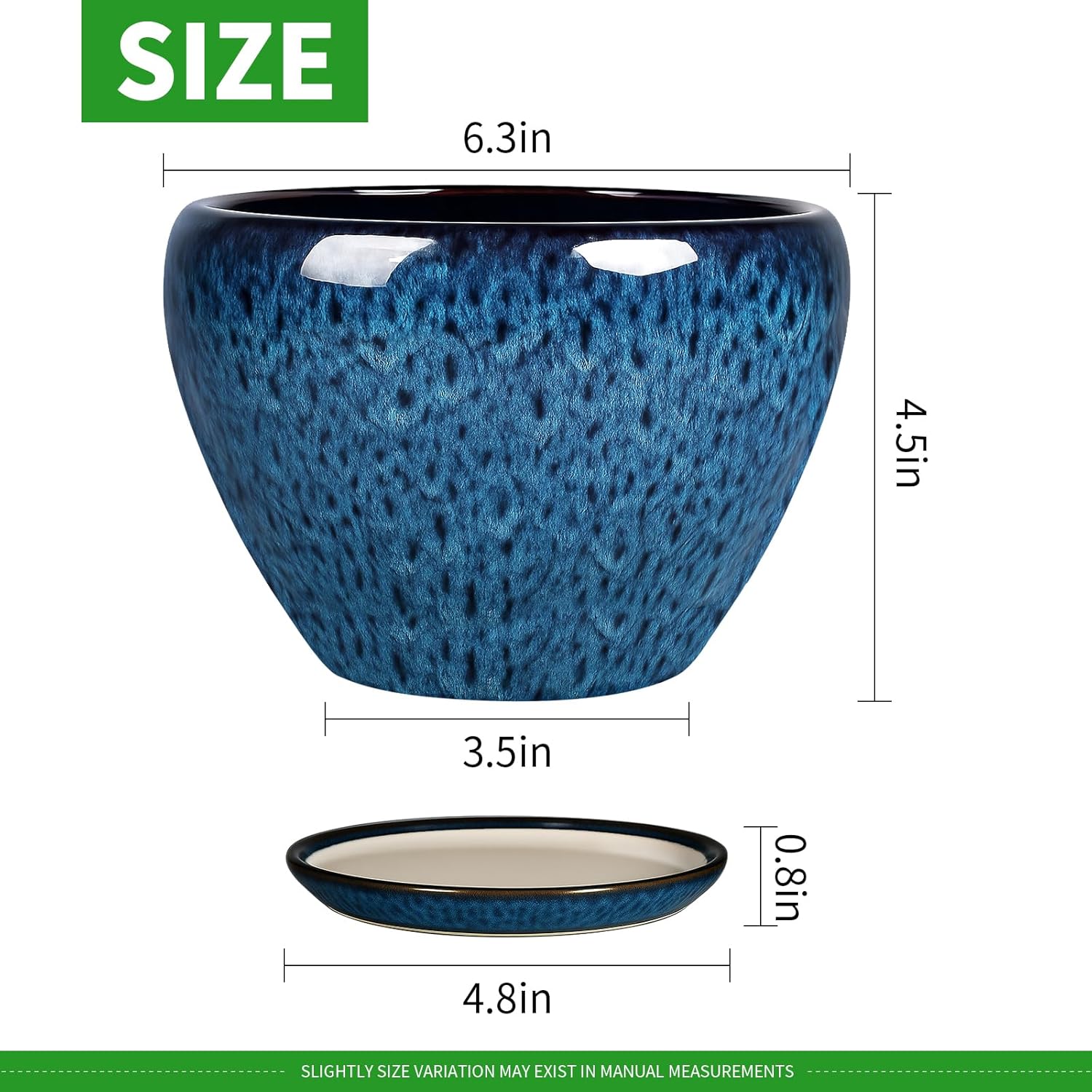 6 Inch Ceramic Plant Pot with  - Snake Plant Ceramic บทวิจารณ์และราคา