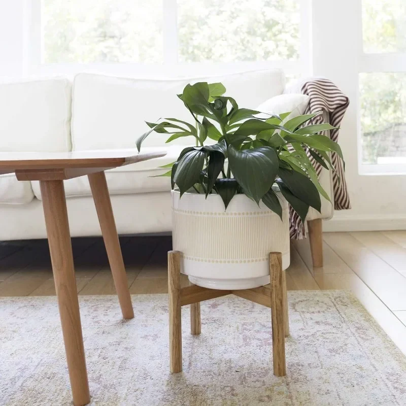 Large Ceramic Plant Pot with S - Snake Plant Ceramic บทวิจารณ์และราคา