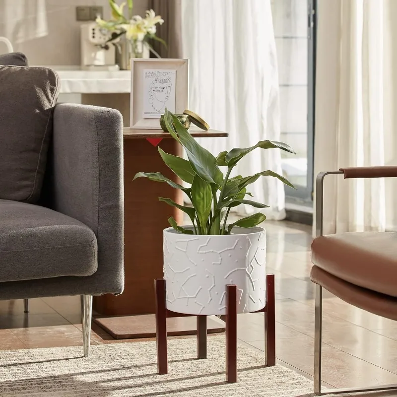 Large Ceramic Plant Pot with S - Snake Plant Ceramic บทวิจารณ์และราคา