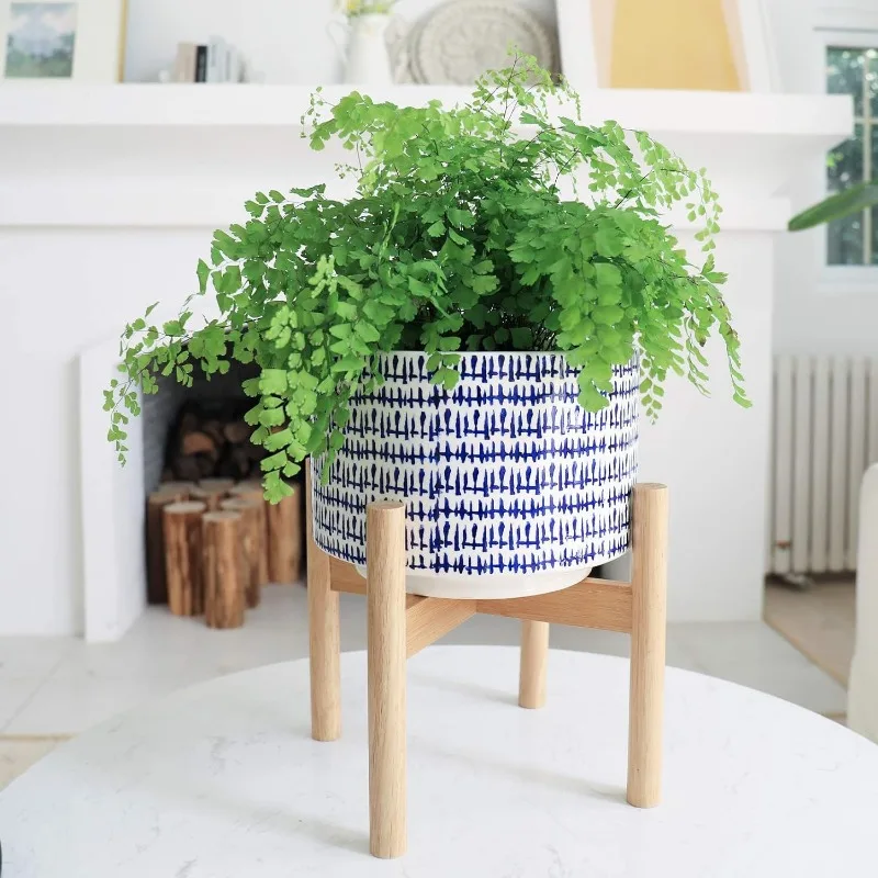 Large Ceramic Plant Pot with S - Snake Plant Ceramic บทวิจารณ์และราคา