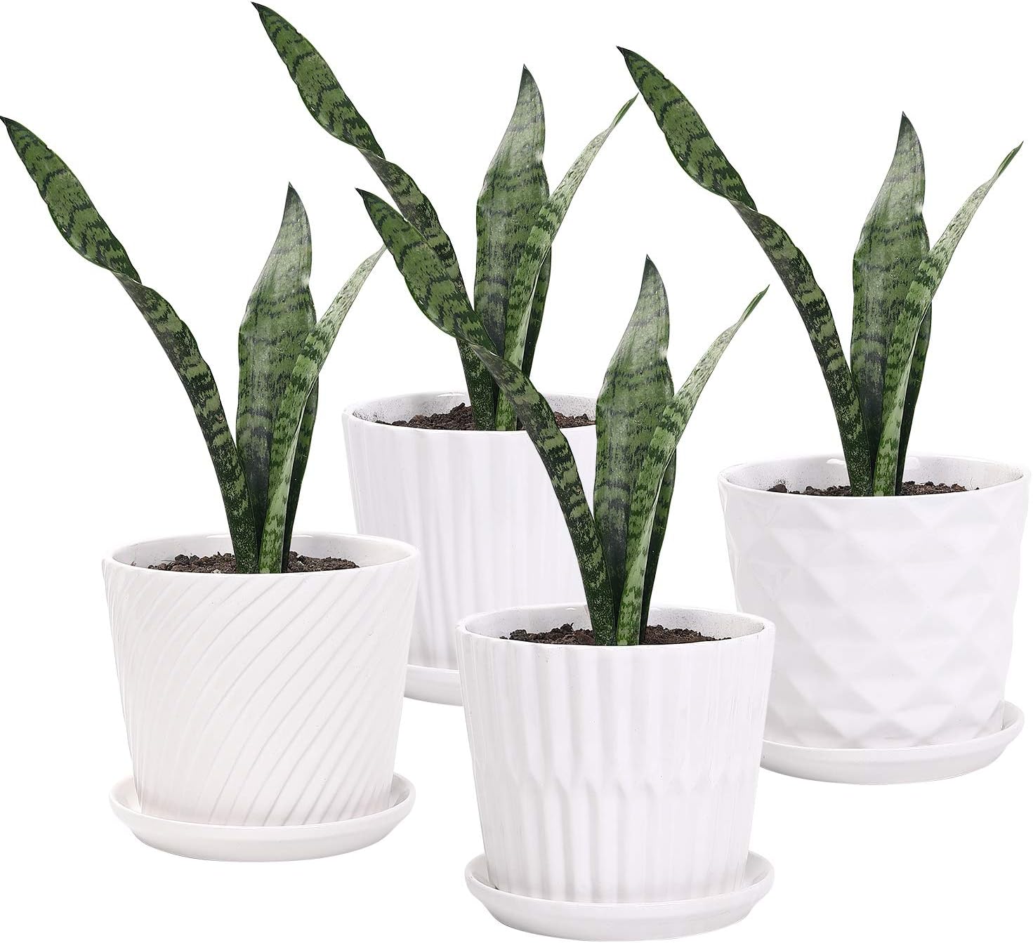 Plant Pots - 5.5 Inch Cylinder - Snake Plant Ceramic บทวิจารณ์และราคา