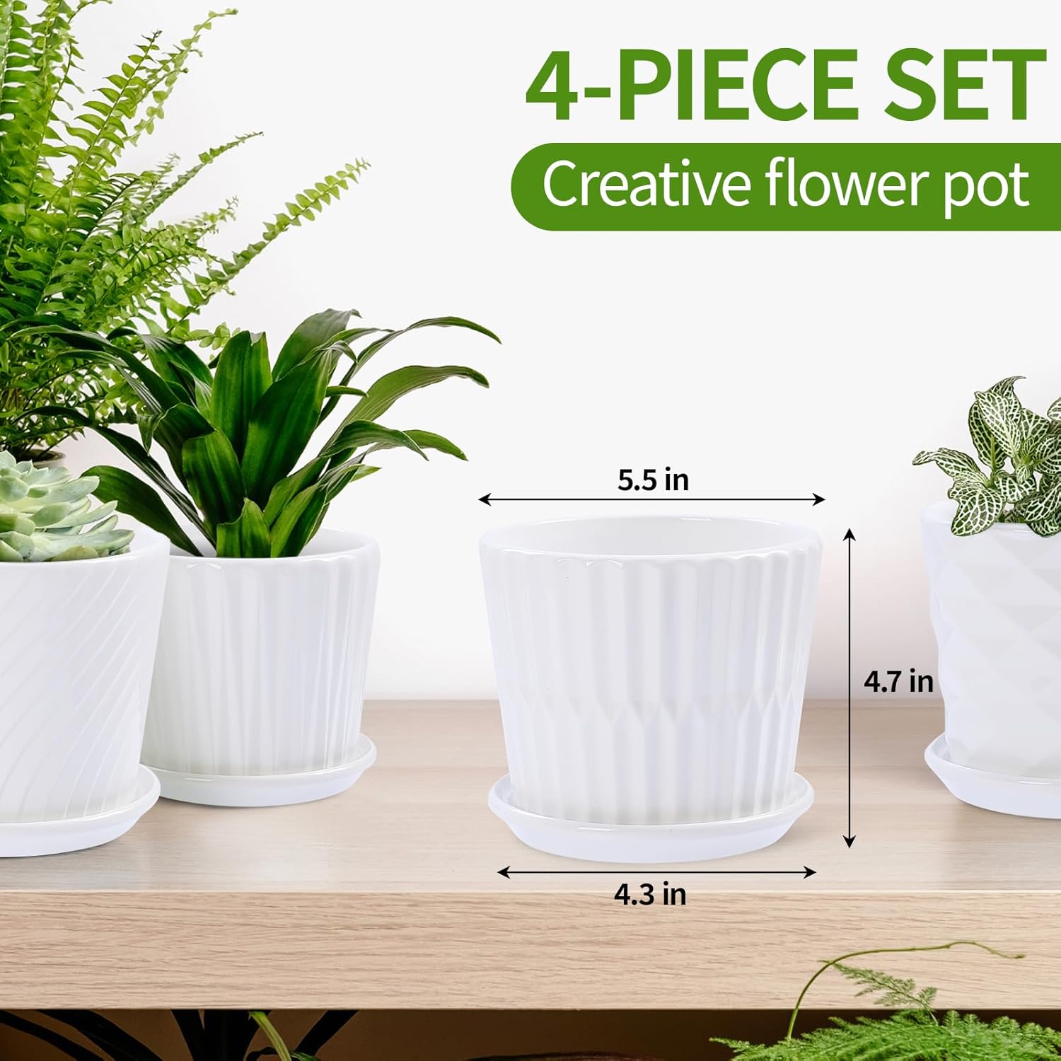 Plant Pots - 5.5 Inch Cylinder - Snake Plant Ceramic บทวิจารณ์และราคา