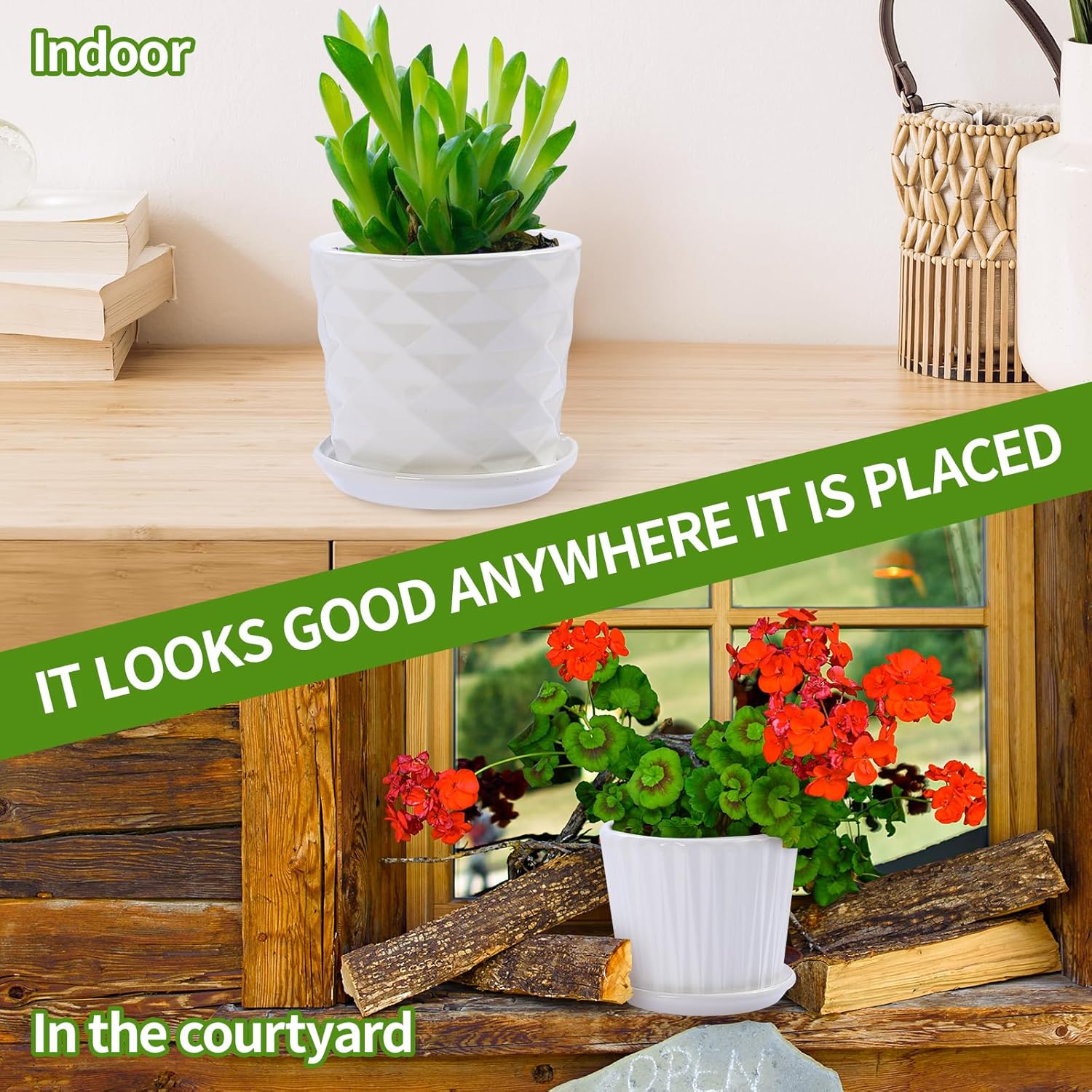 Plant Pots - 5.5 Inch Cylinder - Snake Plant Ceramic บทวิจารณ์และราคา