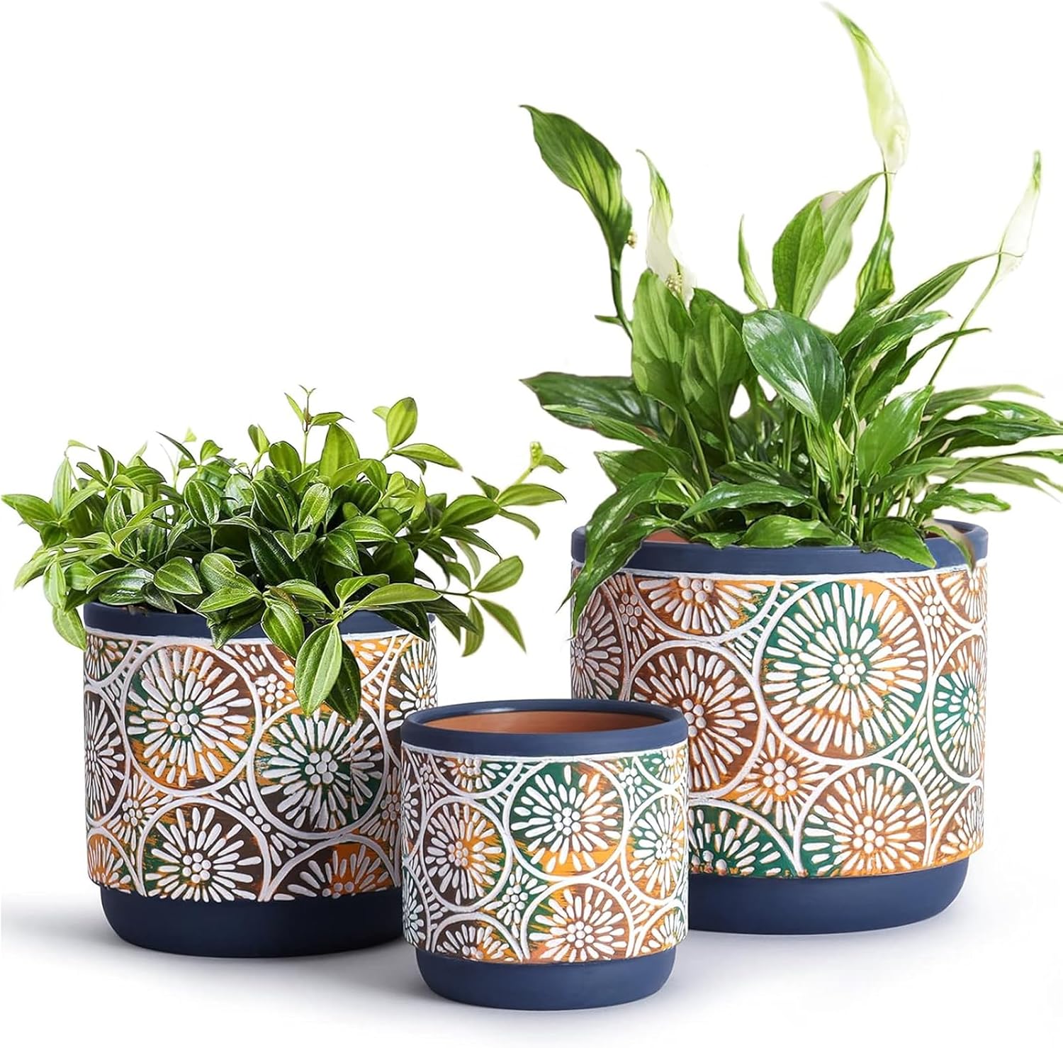 DeeCoo 3 Piece Ceramic Plant p - Snake Plant Ceramic บทวิจารณ์และราคา