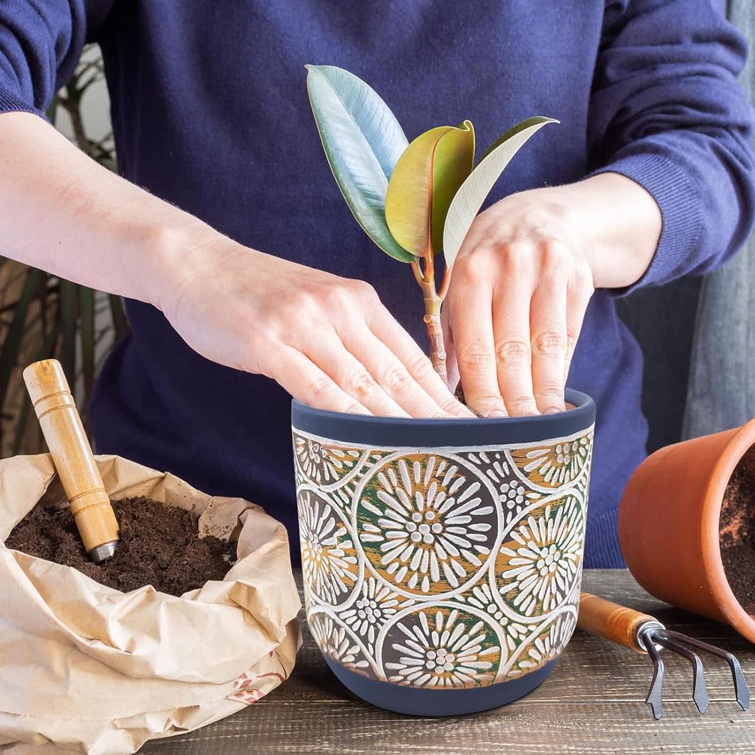 DeeCoo 3 Piece Ceramic Plant p - Snake Plant Ceramic บทวิจารณ์และราคา