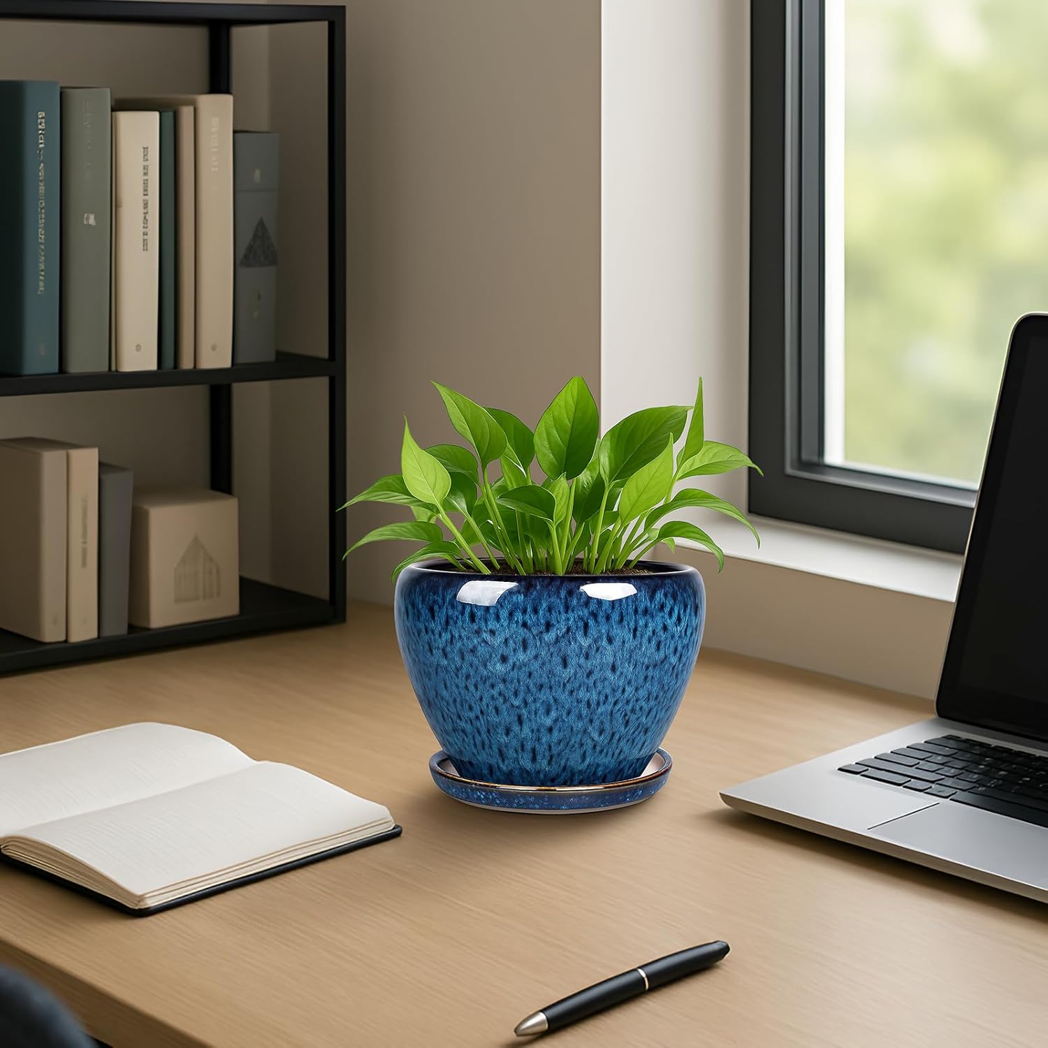6 Inch Ceramic Plant Pot with  - Snake Plant Ceramic บทวิจารณ์และราคา