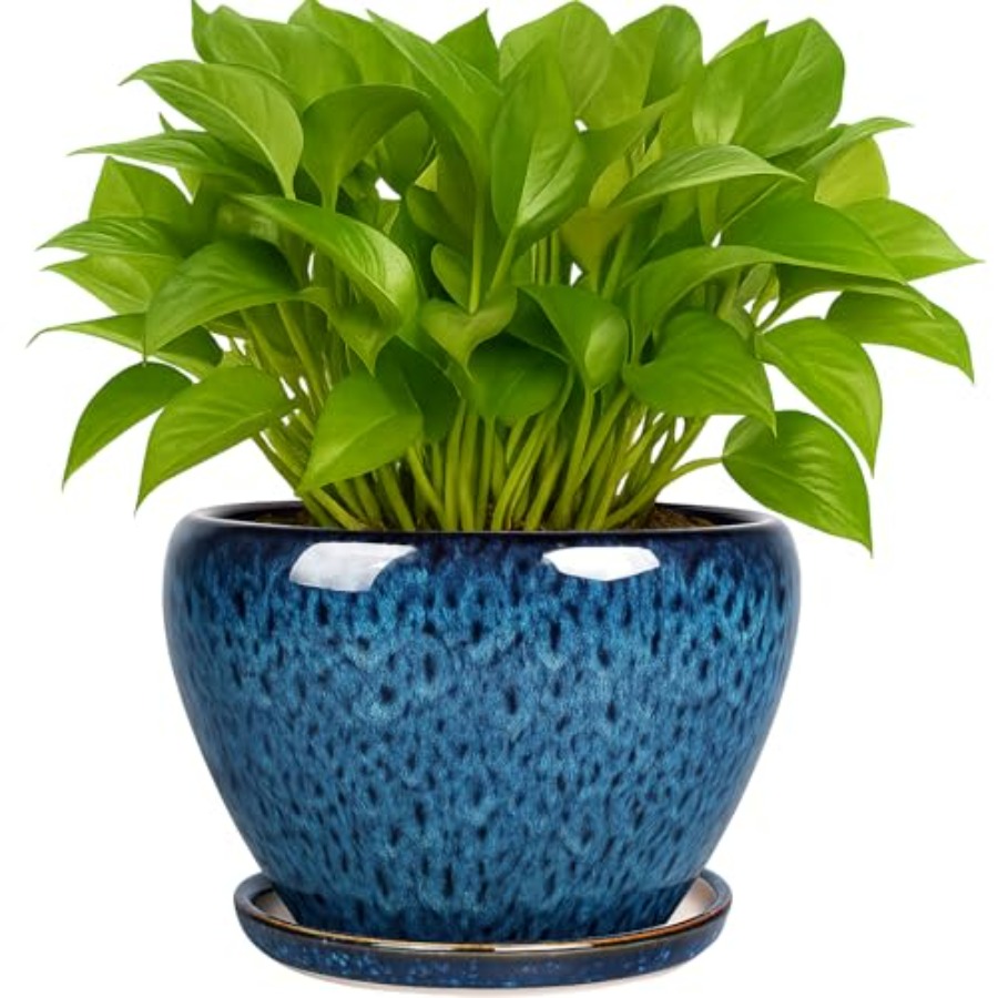 Plant Pots- Ceramic Planter Po - Snake Plant Ceramic บทวิจารณ์และราคา