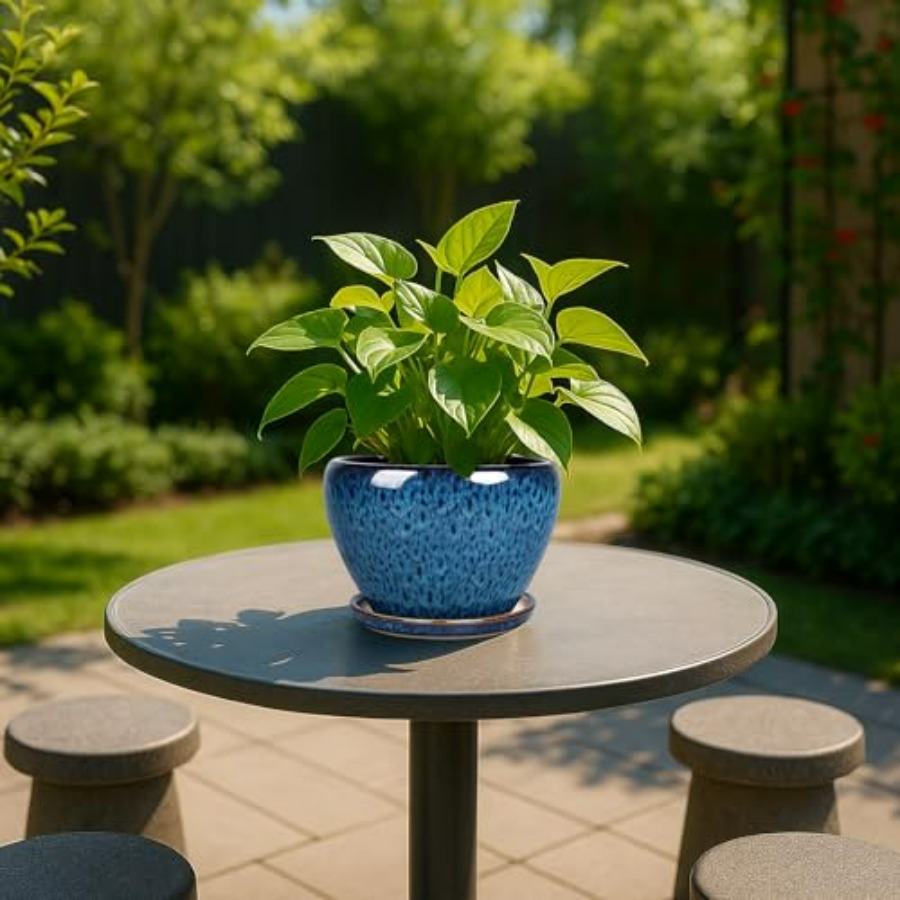 Plant Pots- Ceramic Planter Po - Snake Plant Ceramic บทวิจารณ์และราคา