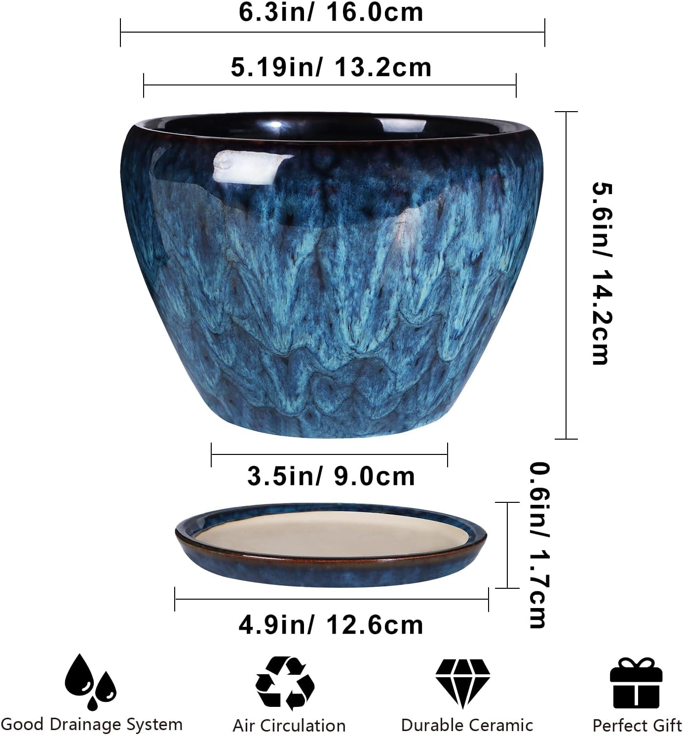 Ceramic Modern Glaze Succulent - Snake Plant Ceramic บทวิจารณ์และราคา