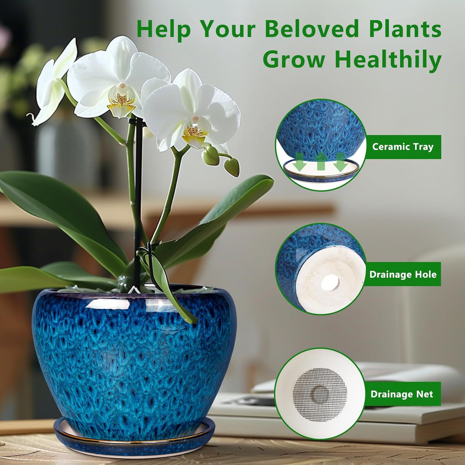 Ceramic Succulent Planter Pot  - Snake Plant Ceramic บทวิจารณ์และราคา